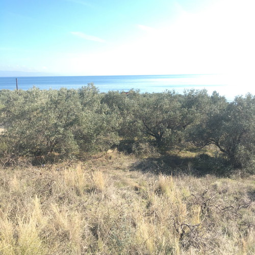 Seafront Land Plot 2048 m² Buildable, Corner, Evia