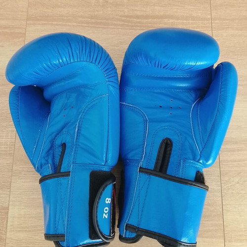 Boxing gloves and elastic wrist wraps like new