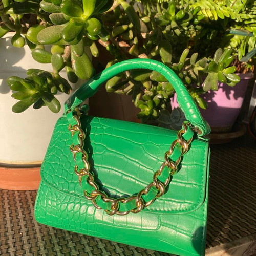 Small green bag with gold detail and crossbody strap