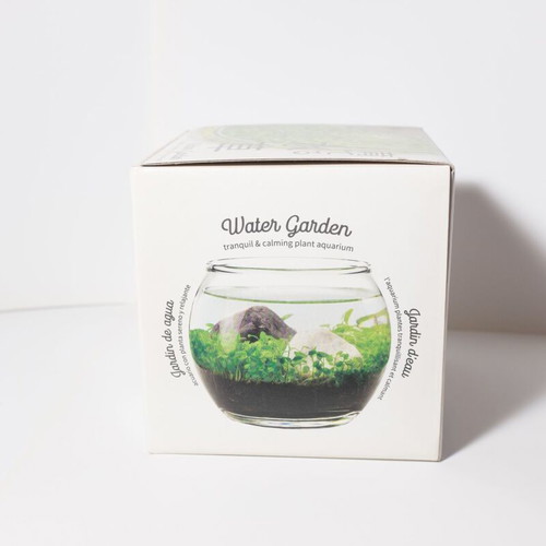 Water Garden in Glass Bowl new, complete kit from Japan