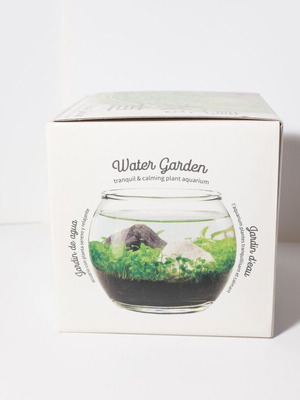 Water Garden in Glass Bowl new, complete kit from Japan