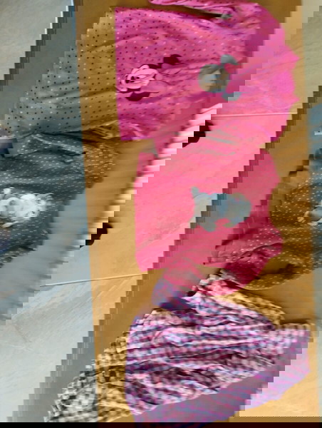 Παιδικά ρουχα