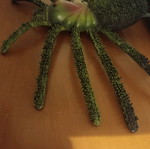 Plastic large spider like new, green