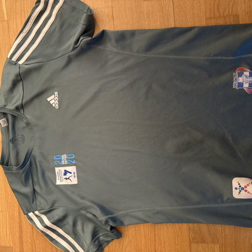 Adidas Athens Marathon 2020 Dry Fit men's shirt