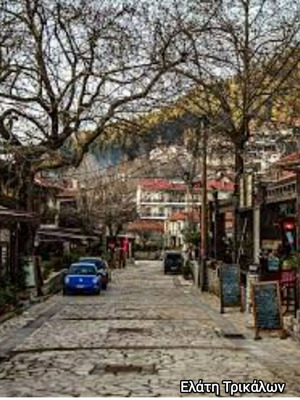 Οικόπεδο 200 τ.μ. στην Ελάτη Τρικάλων, οικοδομήσιμο, εντός σχεδίου