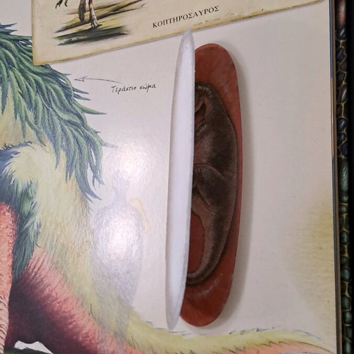 Dinosaur Book like new with embossed hardcover and interactive features
