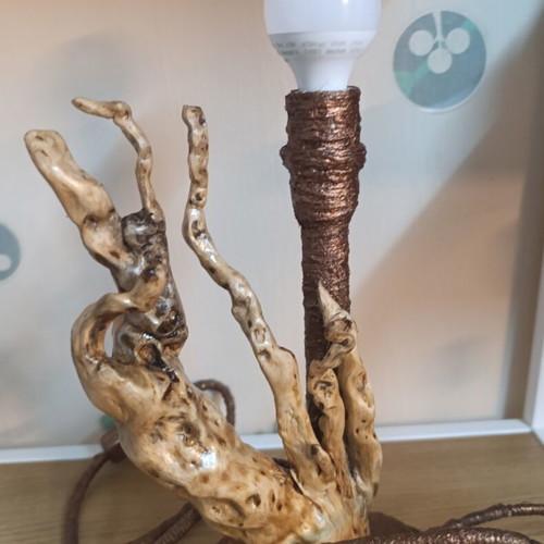 Table lamp from forest root new, handcrafted rustic design