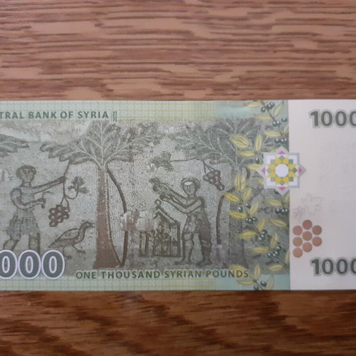 Syria 1,000 Syrian Pounds 2013 banknote new