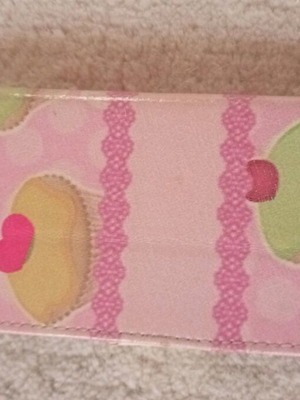 Case for small Apple phone used