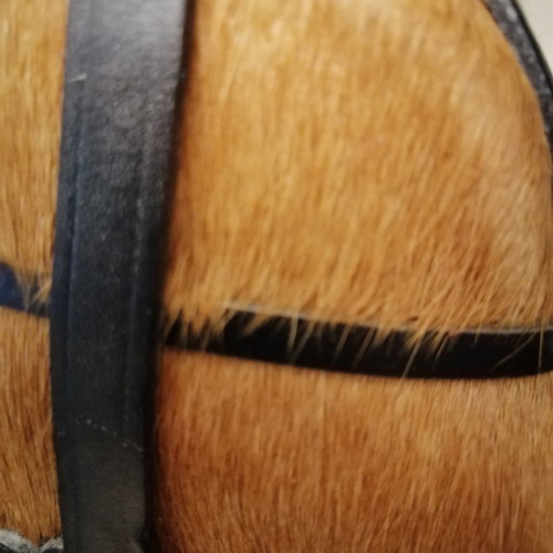 Cowboy bottle