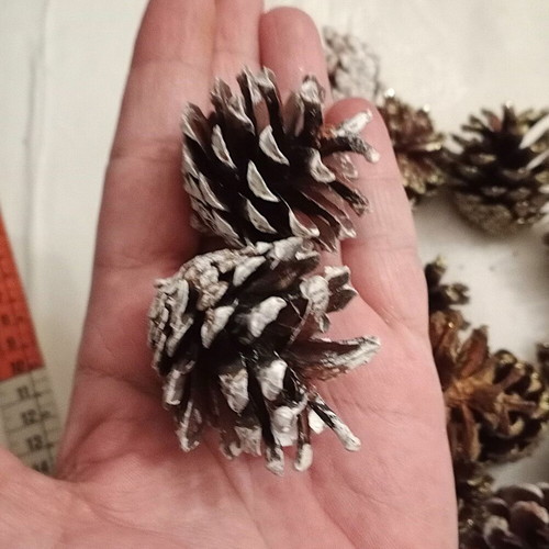 Decorative pine cones new, pack of 20 with glitter
