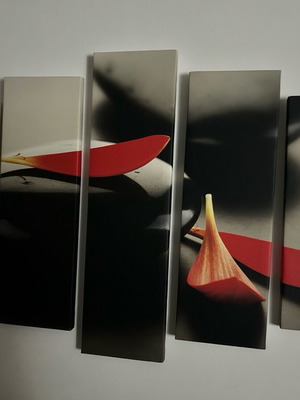 Painting 5 pieces like new