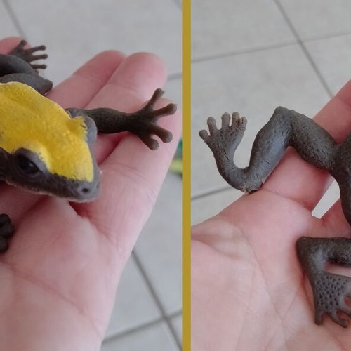 Rubber toys set of six used, 5 lizards and 1 frog