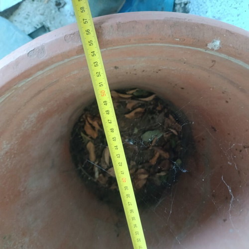 Clay and Plastic Flower Pots Used, Set of 6 with Metal Bases