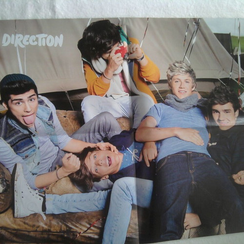 One Direction & Kristen Stewart poster like new