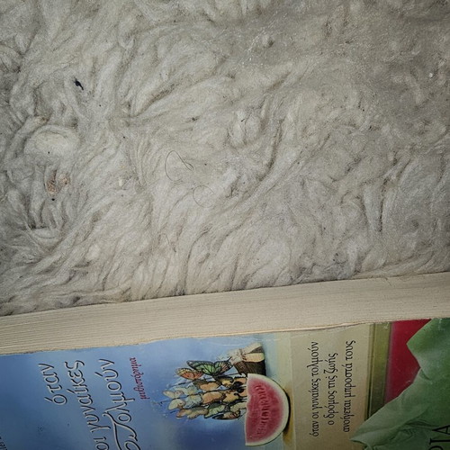 When Women Dare novel used