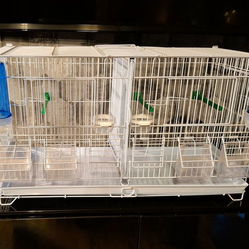 Metal double bird cage 60×25×33 cm with feeders and perches