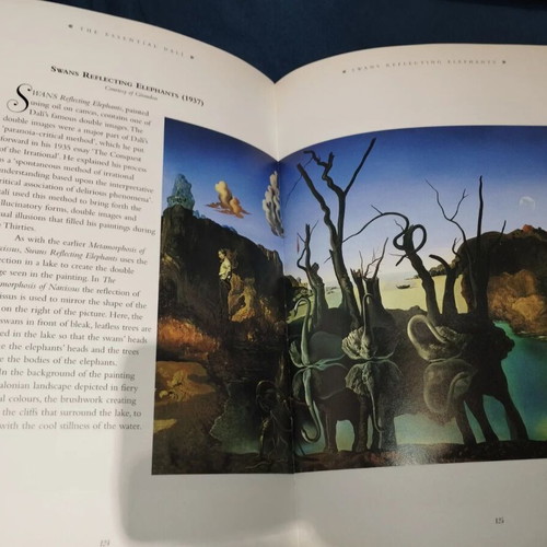 Essential Dali book by Kirsten Bradbury, English