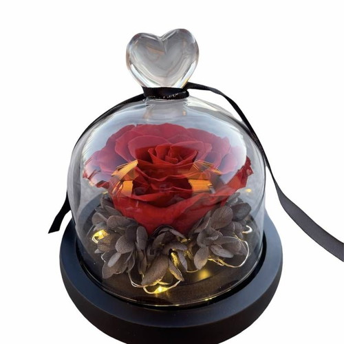Forever Rose Red Rose in Glass with Led new 13cm x 12cm