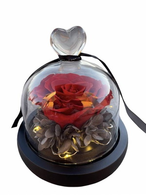 Forever Rose Red Rose in Glass with Led new 13cm x 12cm