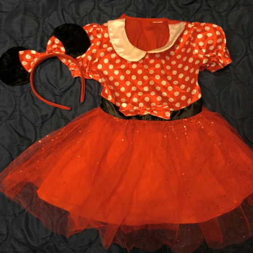 Minnie Mouse costume for girls 2-4 years, used