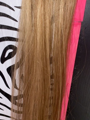 Hair extensions used, synthetic clip-in dark blonde wefts