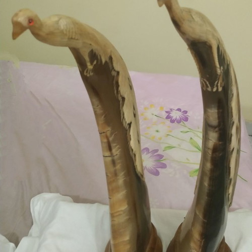 Handmade horn peacock decorations new, set of two pieces