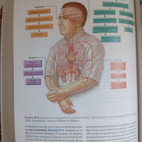 Timby's Pathological and Surgical Nursing Volume A, new