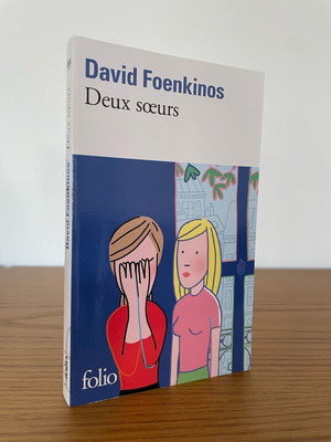 French book David Foenkinos Deux sœurs used