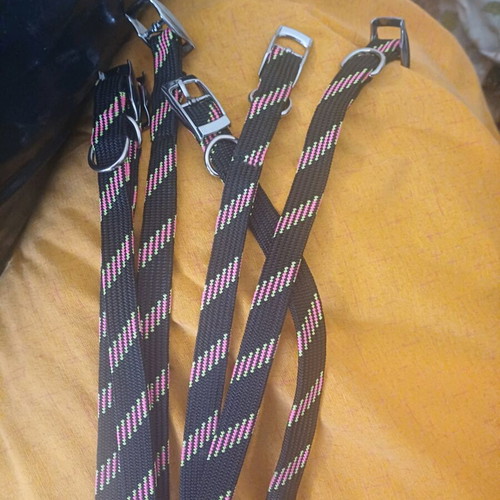 medium-sized dog collar