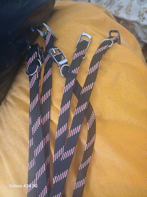medium-sized dog collar