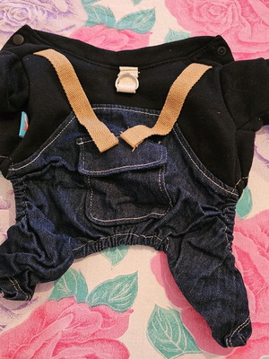 Pet Circle denim overalls and sweatshirt for small dog like new