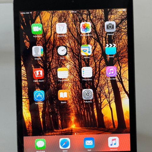 iPad Mini 1st Generation 2012 16GB Wi-Fi + Cellular used
