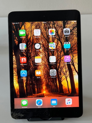 iPad Mini 1st Generation 2012 16GB Wi-Fi + Cellular used