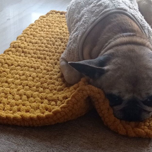 Handmade pet blanket with Alize Puffy yarn, mustard color, made to order