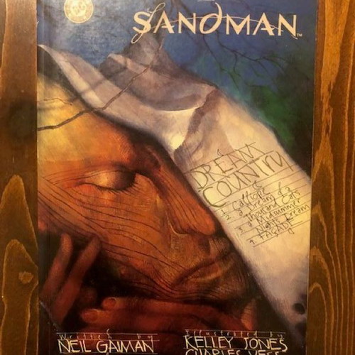 The Sandman Dream Country like new