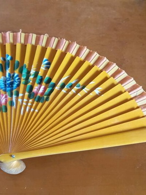 Japanese fans like new