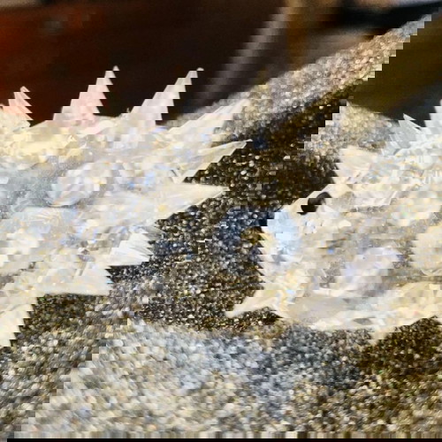 Swarovski Διακοσμητική Μινιατούρα Σκατζόχοιρος καινούργια