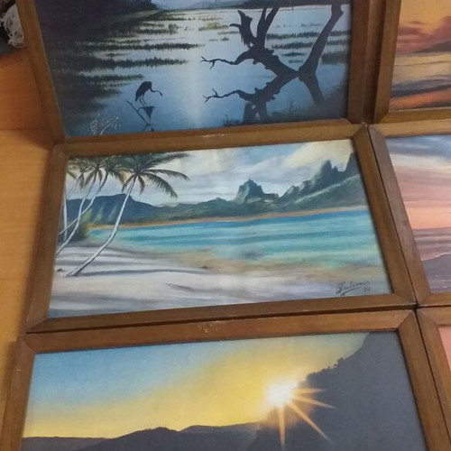 Vintage framed prints used, set of 6 with wooden frame and matte plastic glass
