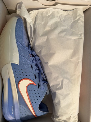 Nike men's basketball shoes new, blue and turquoise