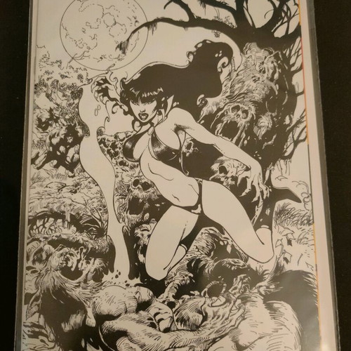 Vampirella #19 Ratio 1:11 Castro B&W Virgin Variant new