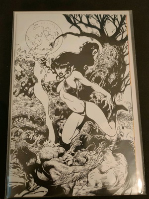 Vampirella #19 Ratio 1:11 Castro B&W Virgin Variant new