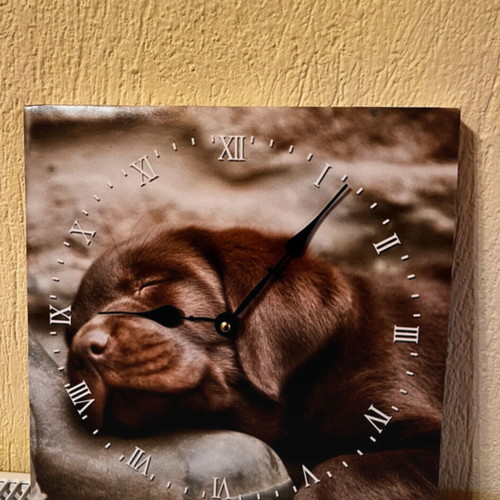 Wall clock new with dog design