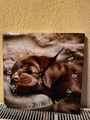 Wall clock new with dog design