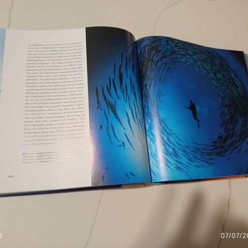The Encyclopedia of Animals Volume 1 Used, Shark and Sea Predators