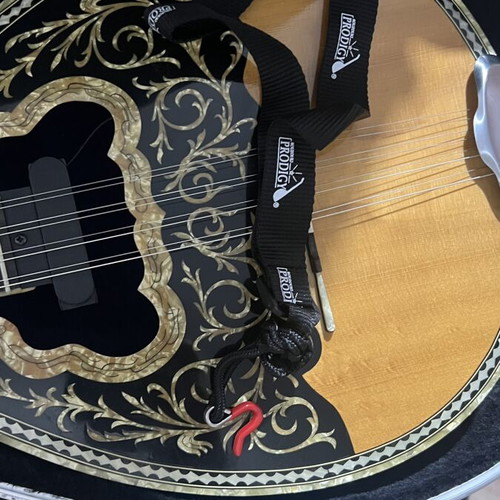 Tetrachordo Bouzouki with Two Pickups Savvas Like New