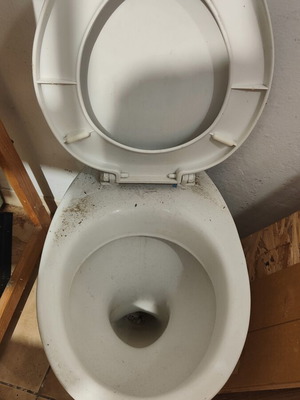 Toilet bowl with lid new
