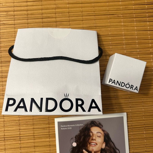 Pandora charm box and bag new