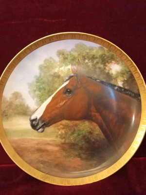 Decorative collectible porcelain plate with Northern Dancer theme like new