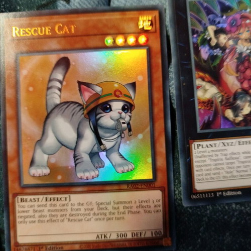 Yu-Gi-Oh 8-Card Package New with Popular Cards